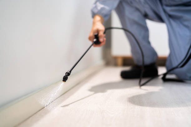 Certified termite inspector examining foundation in Milan